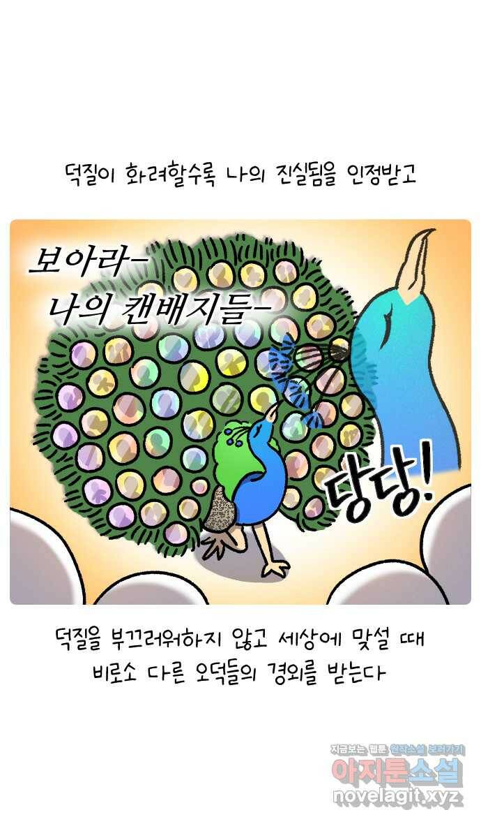 안녕, 나의 수집 28. 미소녀 티셔츠 (1) 2