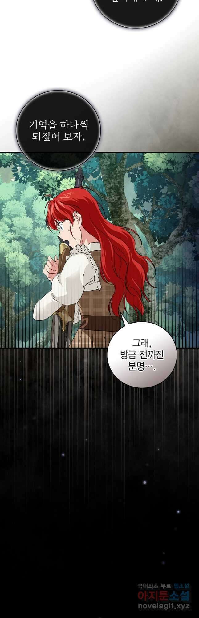 내 아버지의 아들을 찾아서 47화 2