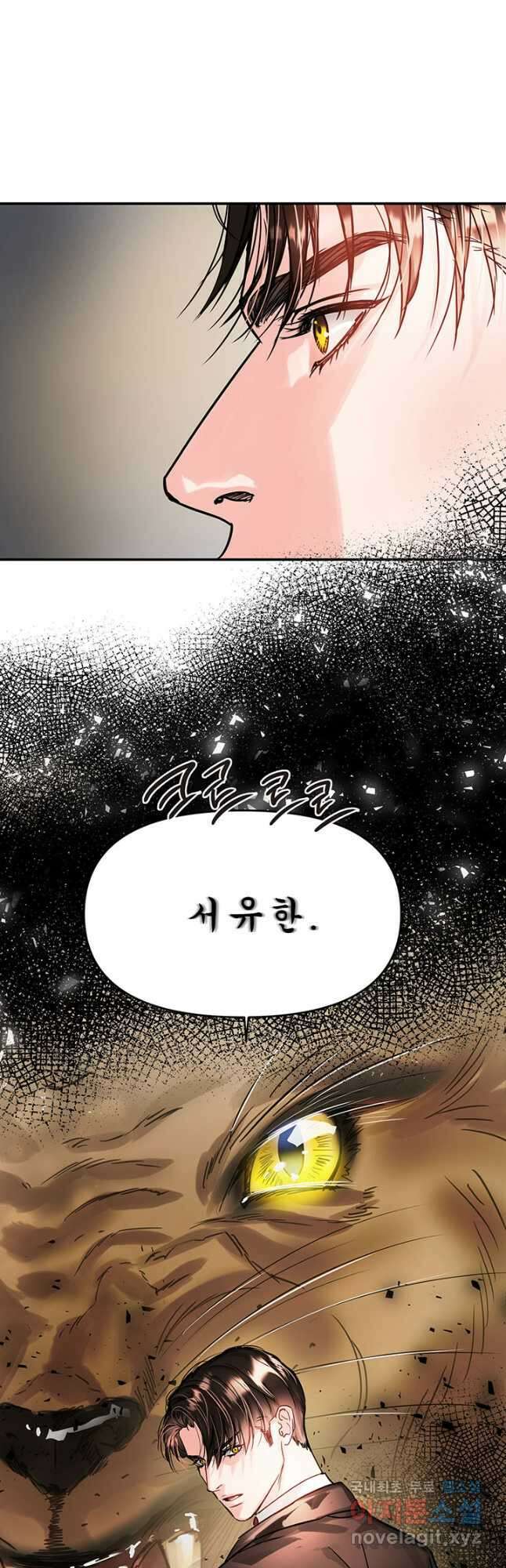 라이언 하트 41화 41