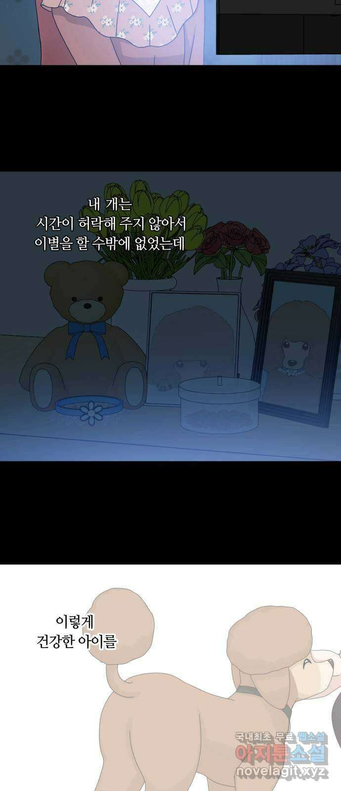 개를 낳았다 시즌2 128화 2