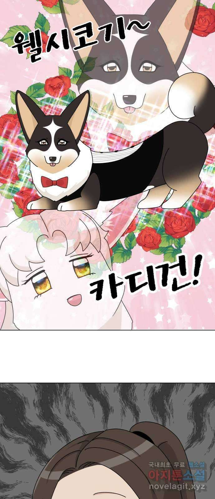 개를 낳았다 시즌2 129화 2