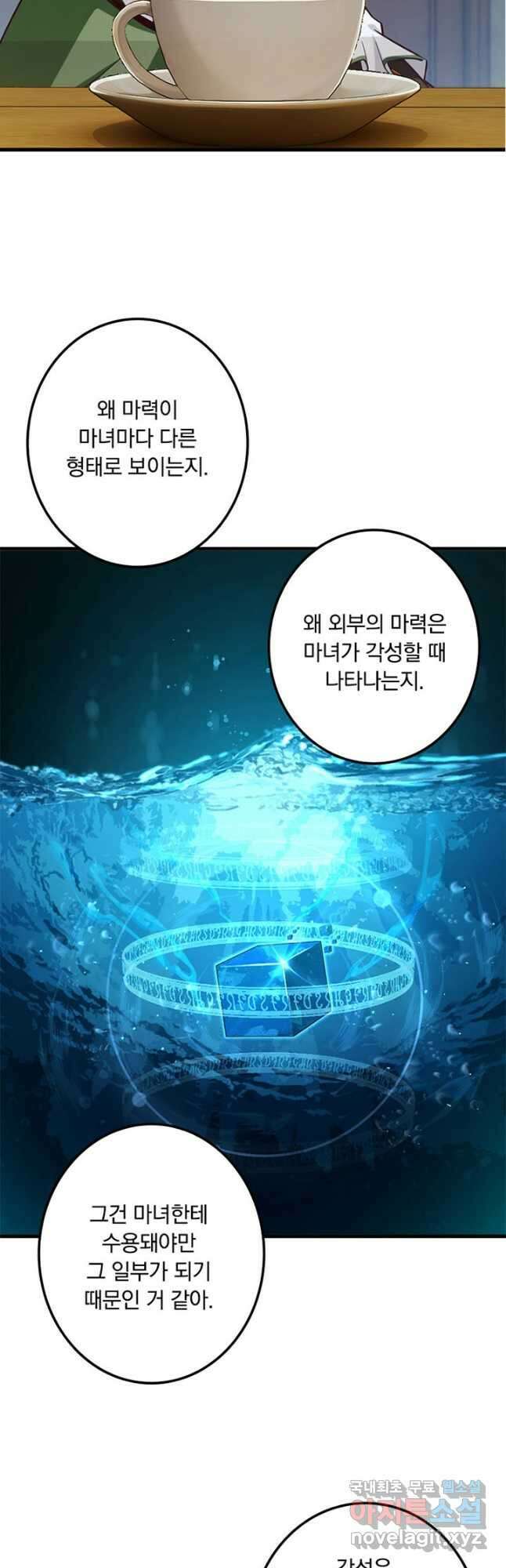 마녀를 지켜라 259화 25