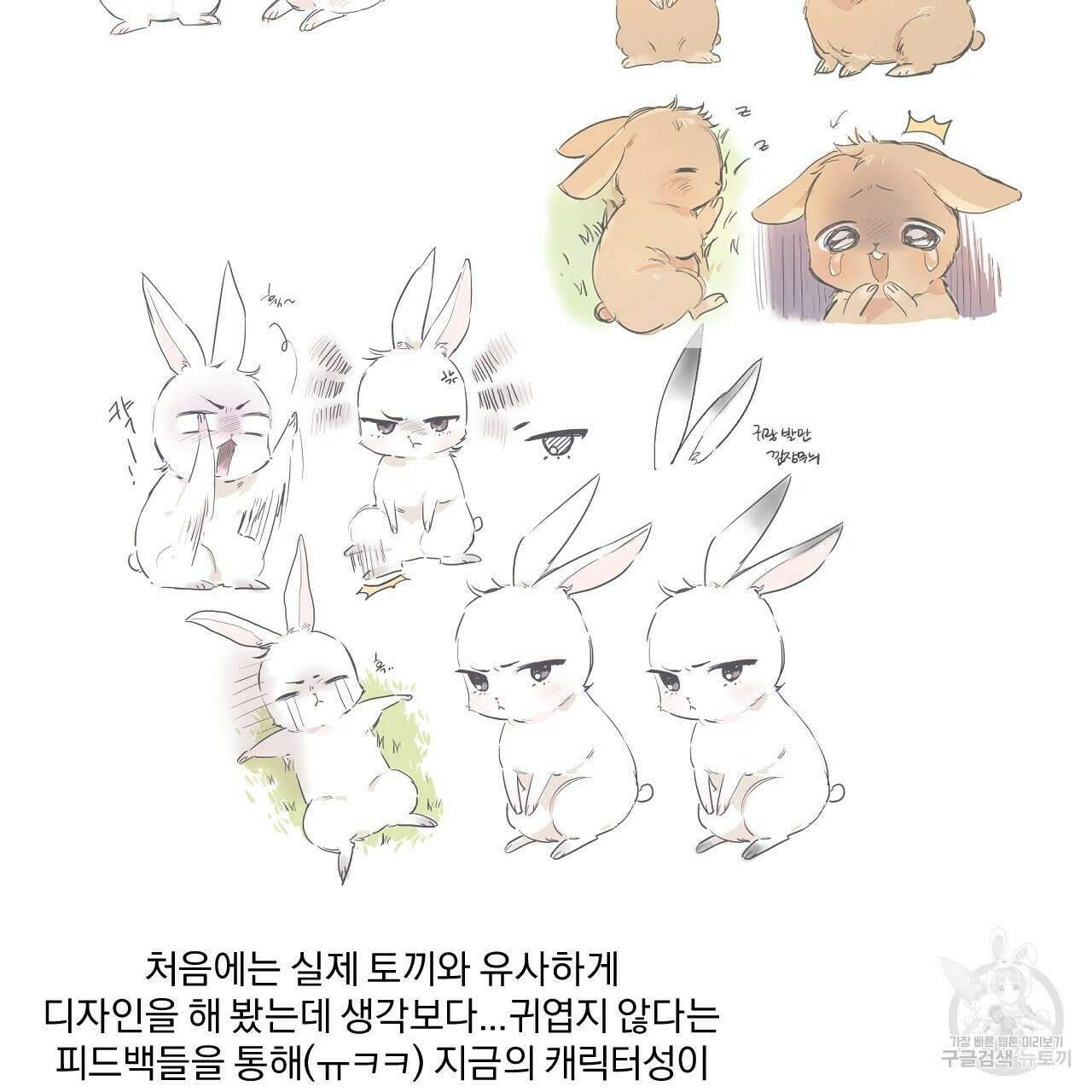 하비비의 토끼들 후기 9
