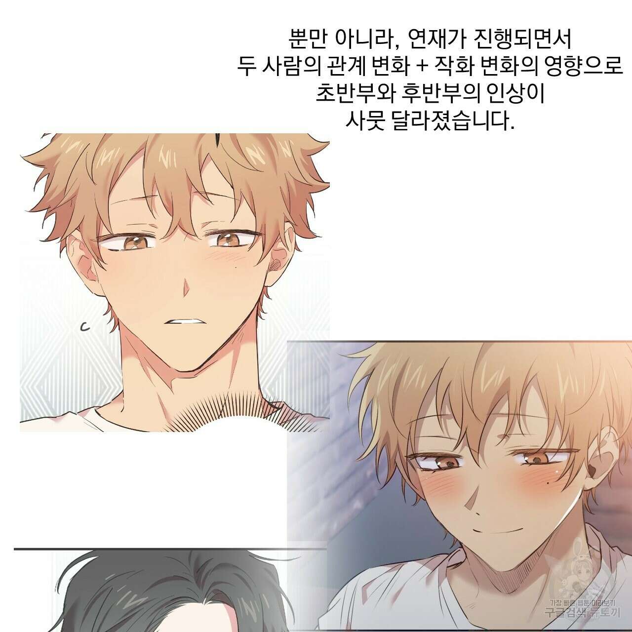 하비비의 토끼들 후기 13