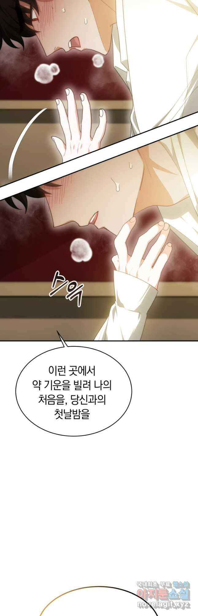 전남편이 남주가 된 것에 관하여 46화 13