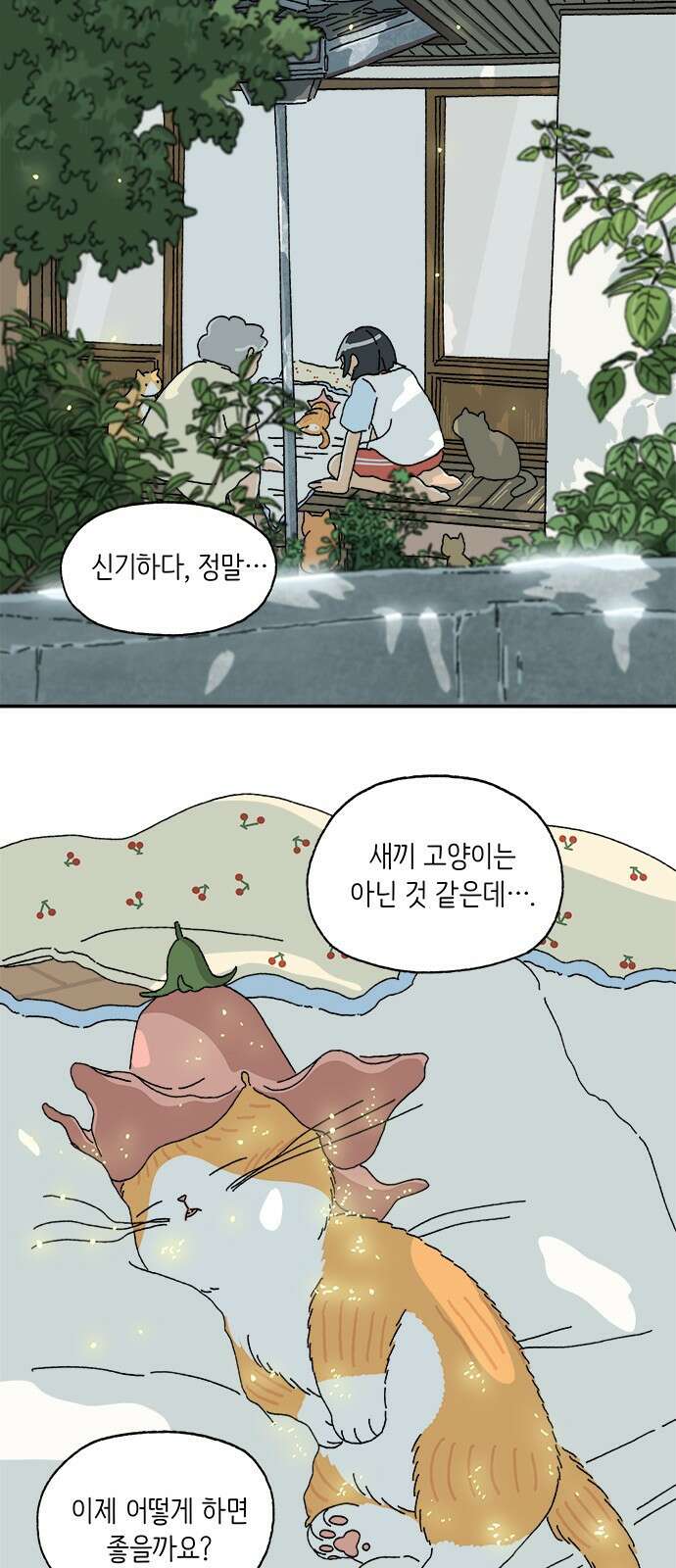 고양이 타타 2화 15
