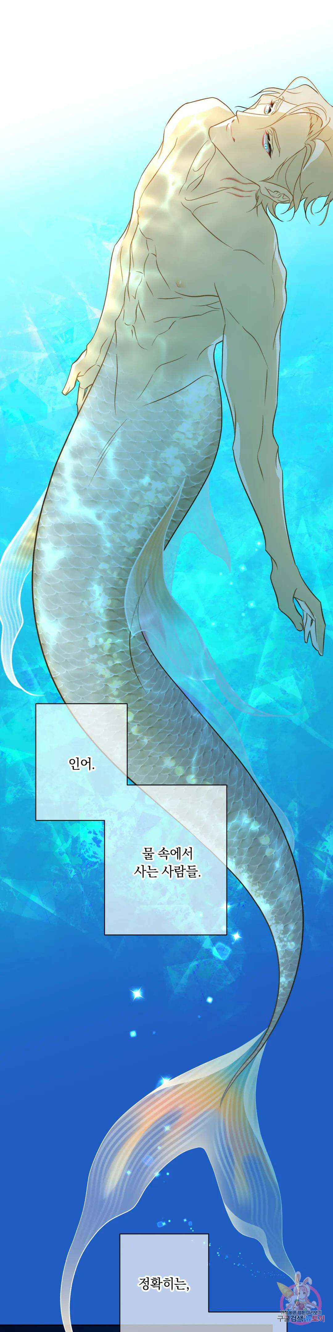 횟집사장의 첫사랑은 인어입니다 2화 1