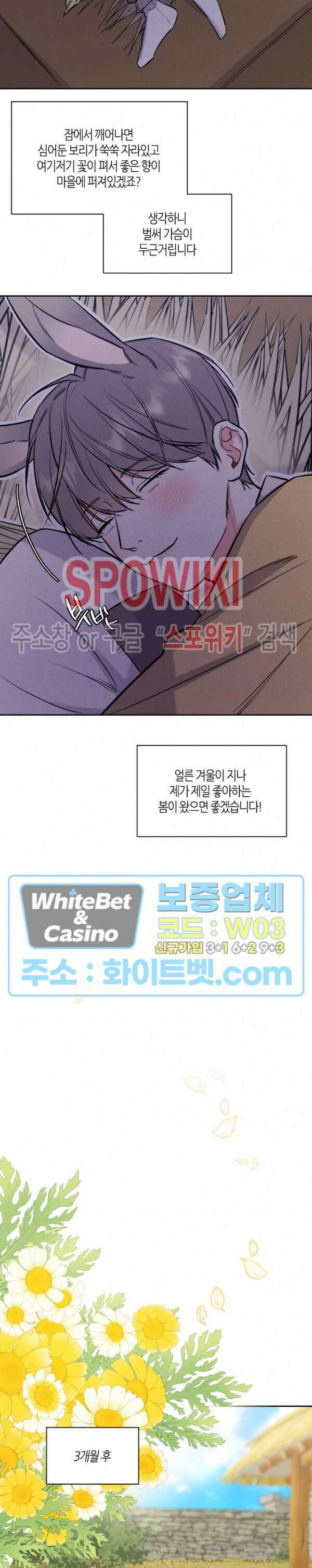 밤의 해 설특별편 2