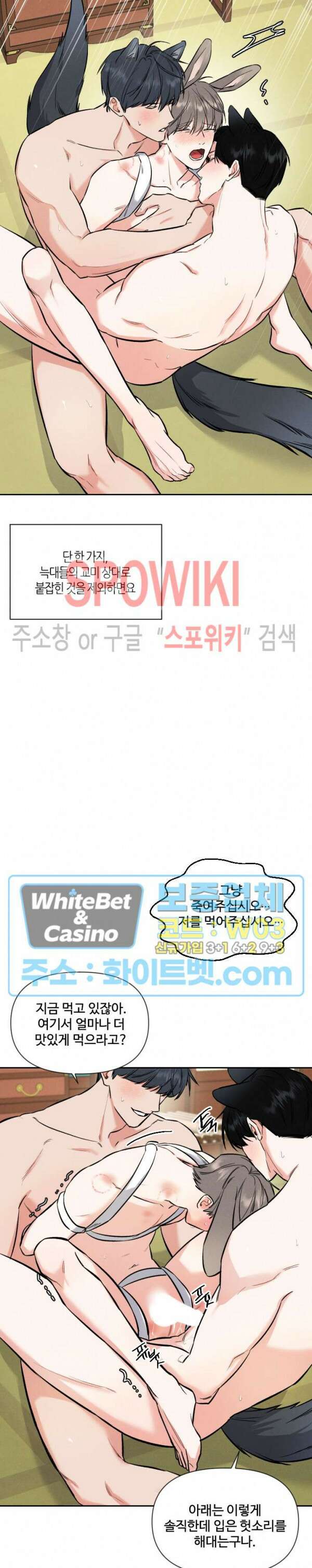 밤의 해 설특별편 15