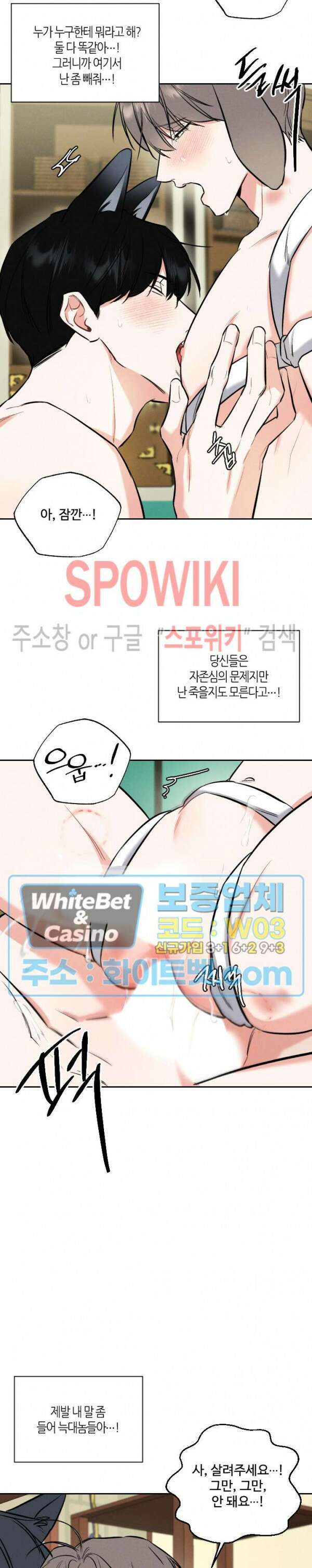 밤의 해 설특별편 21