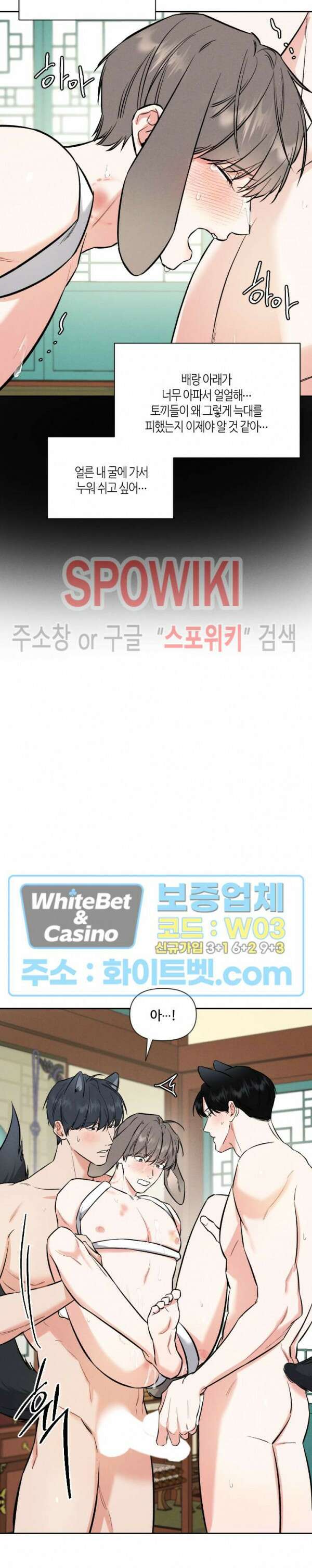 밤의 해 설특별편 26