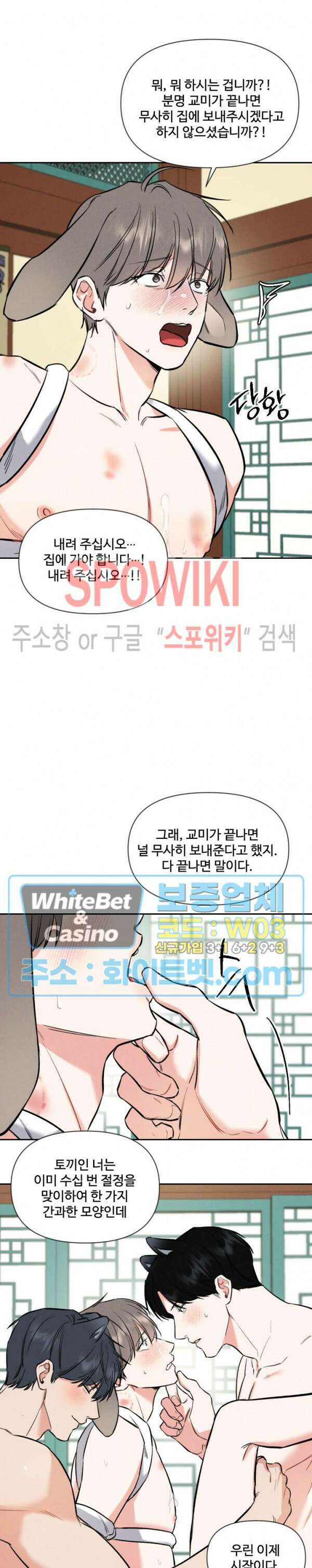밤의 해 설특별편 27