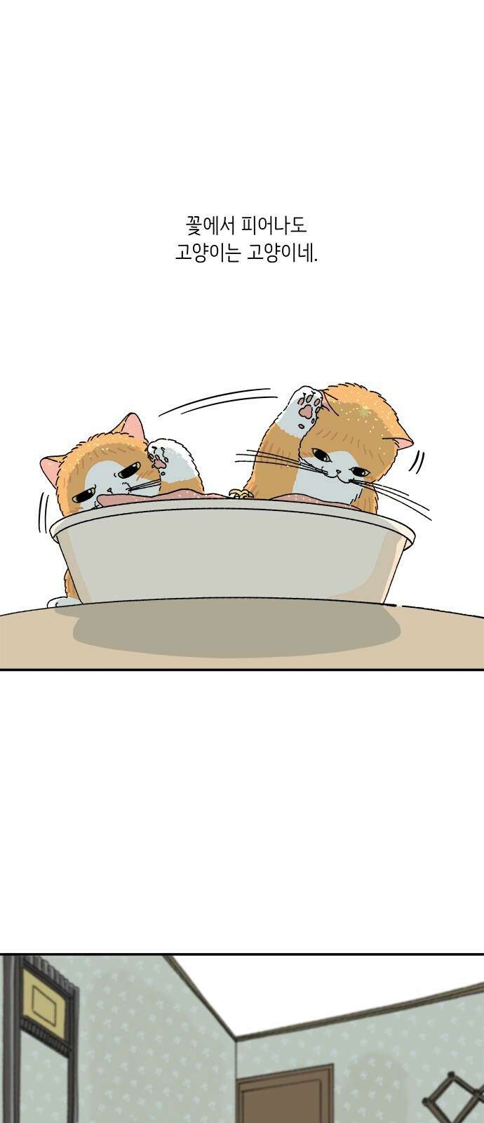 고양이 타타 4화 36