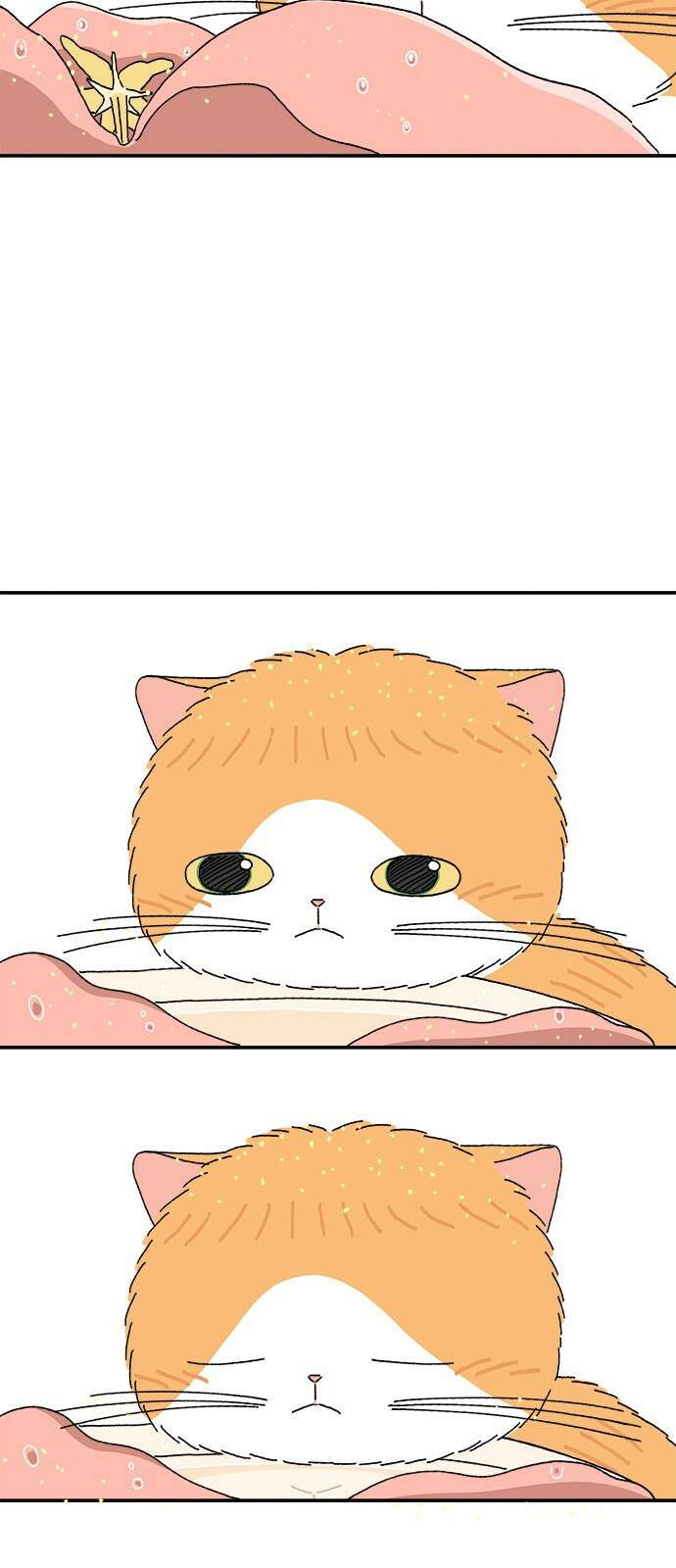 고양이 타타 4화 45