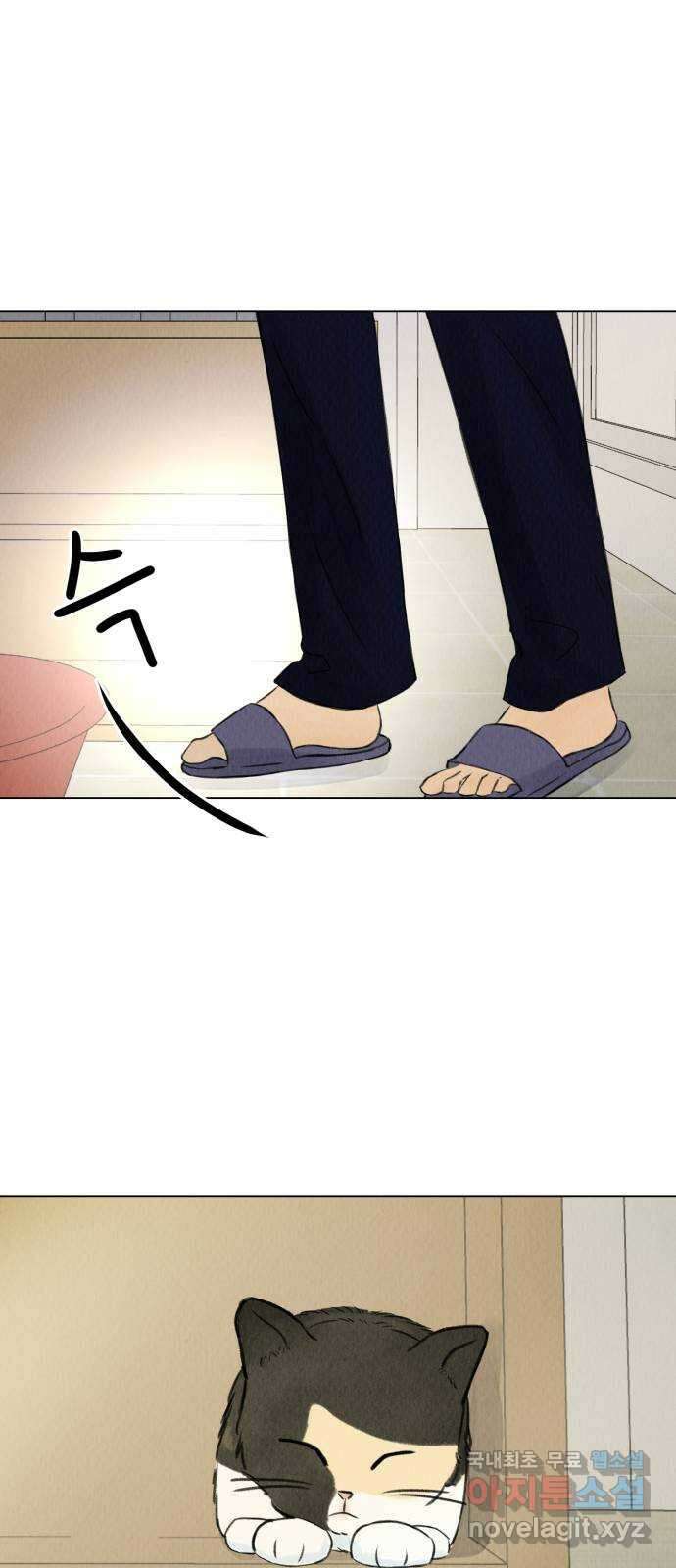 우리 집 고양이 보고 갈래? 2화 2