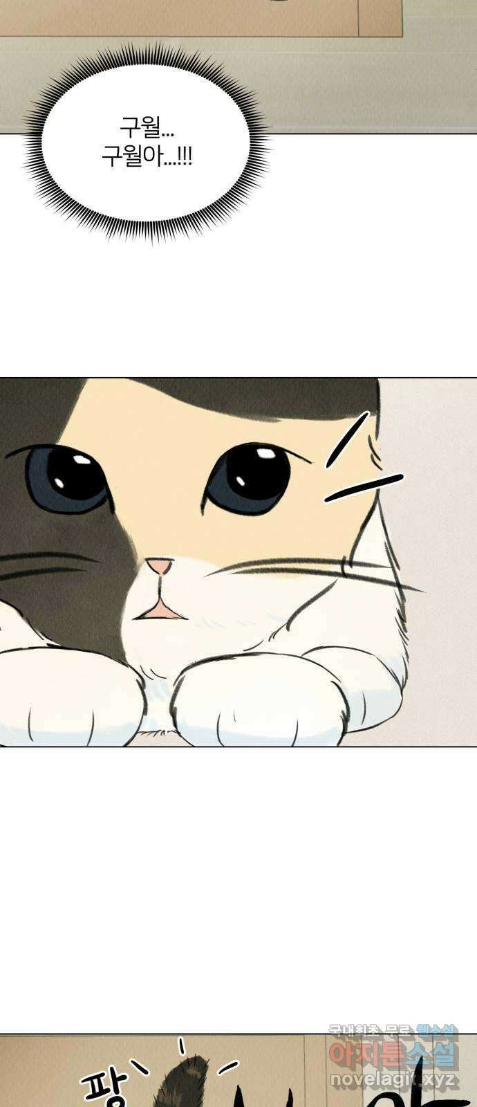 우리 집 고양이 보고 갈래? 2화 3