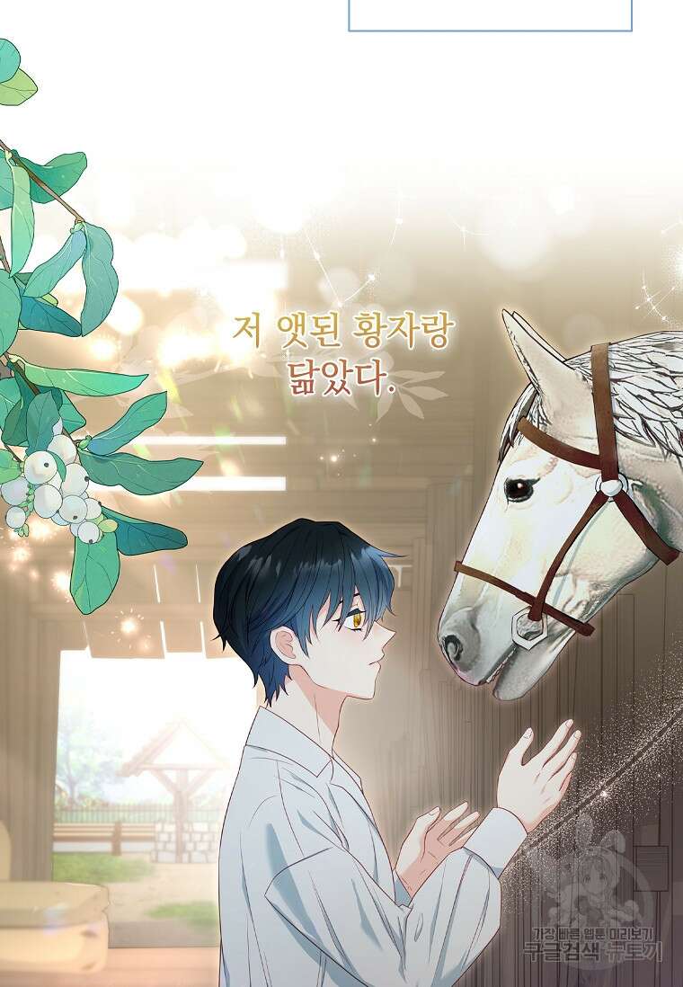 내 남편은 내가 정한다 19화 73