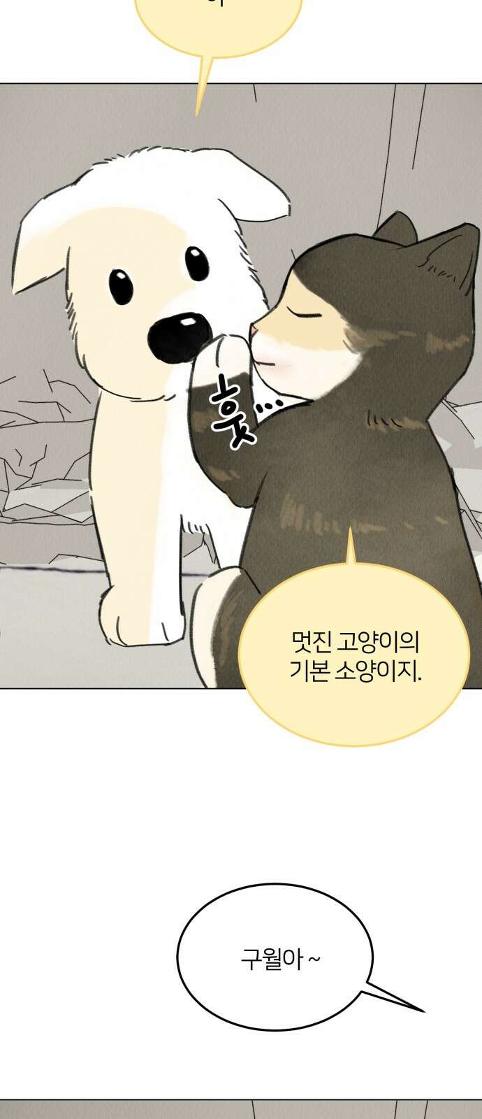 우리 집 고양이 보고 갈래? 7화 19