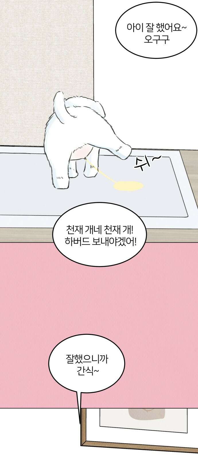우리 집 고양이 보고 갈래? 7화 24