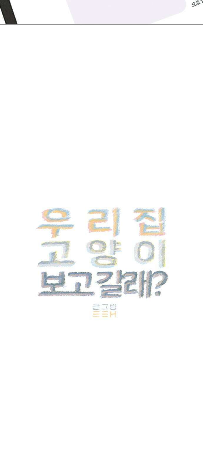 우리 집 고양이 보고 갈래? 7화 39
