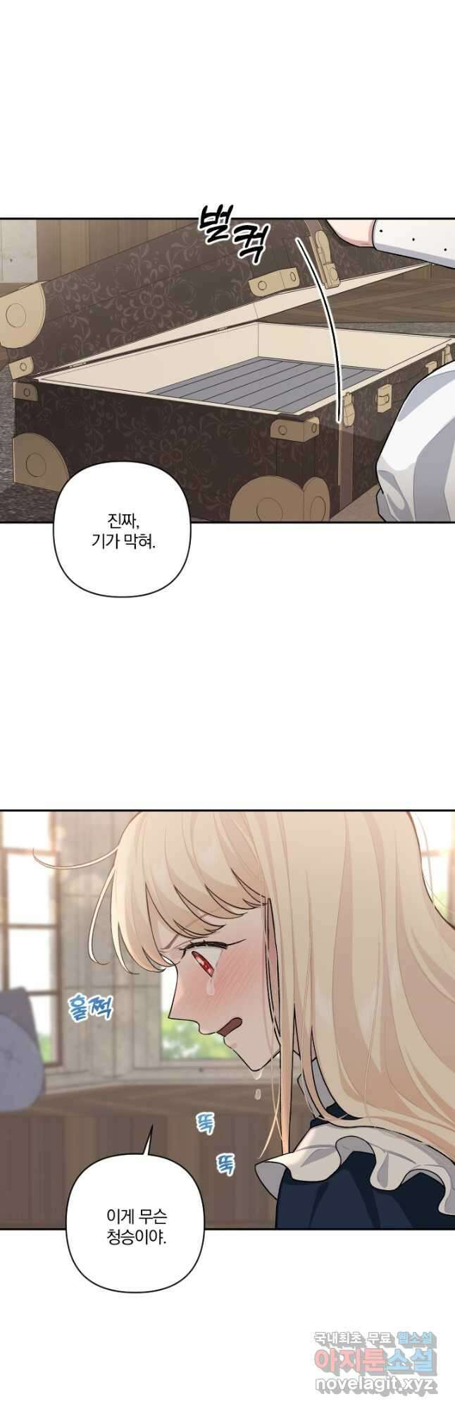 TL 소설 속 시녀가 되었습니다 81화 35