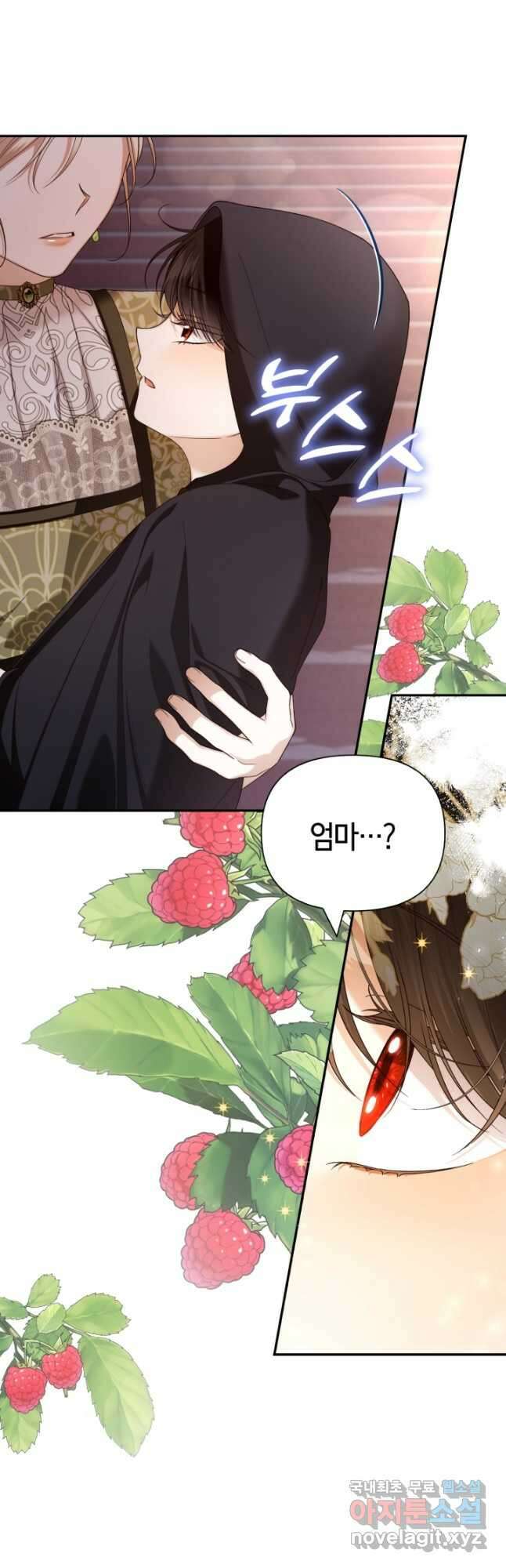 황제의 아이를 숨기는 방법 64화 3