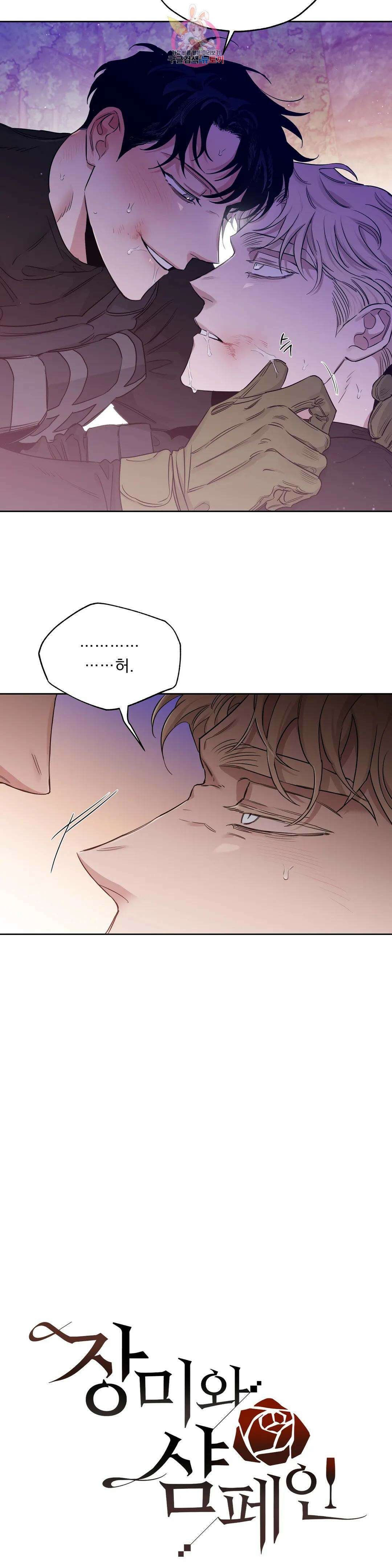 장미와 샴페인 63화 외전 11화 5