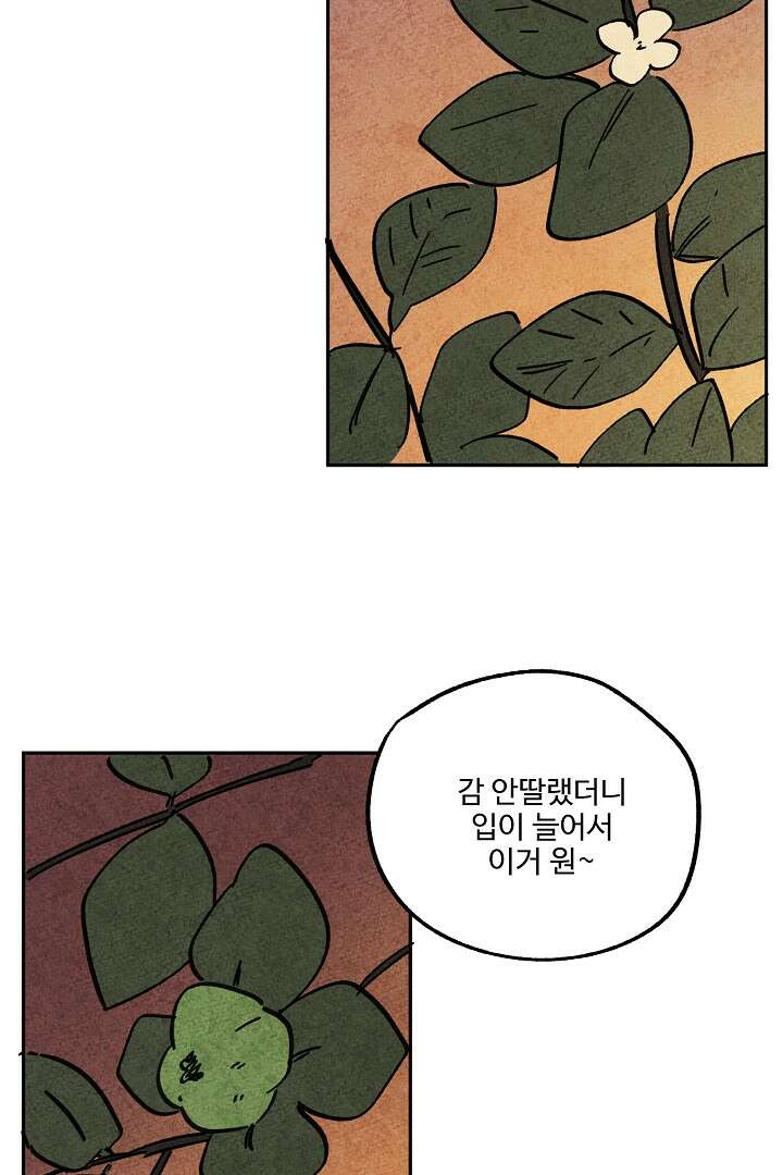금복이 이야기 107화 63