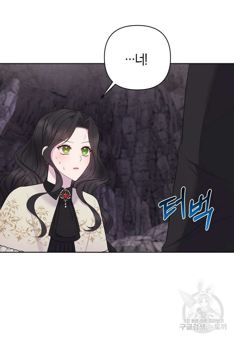 그래서 나는 폐태자와 결혼했다 13화 14
