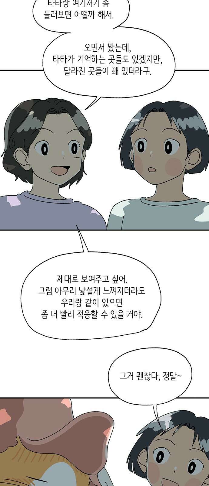 고양이 타타 14화 11