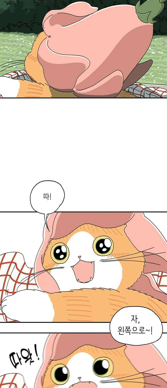 고양이 타타 14화 17