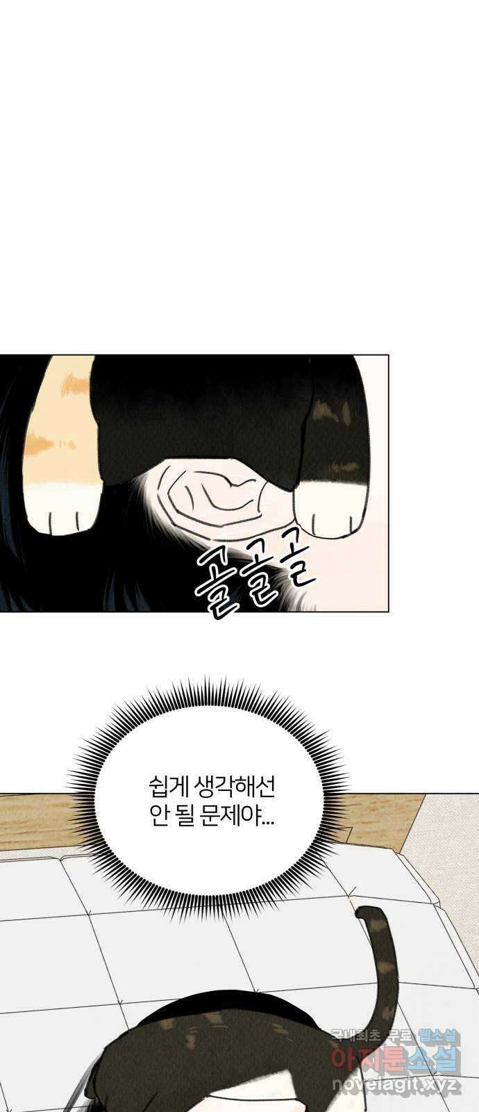 우리 집 고양이 보고 갈래? 12화 6