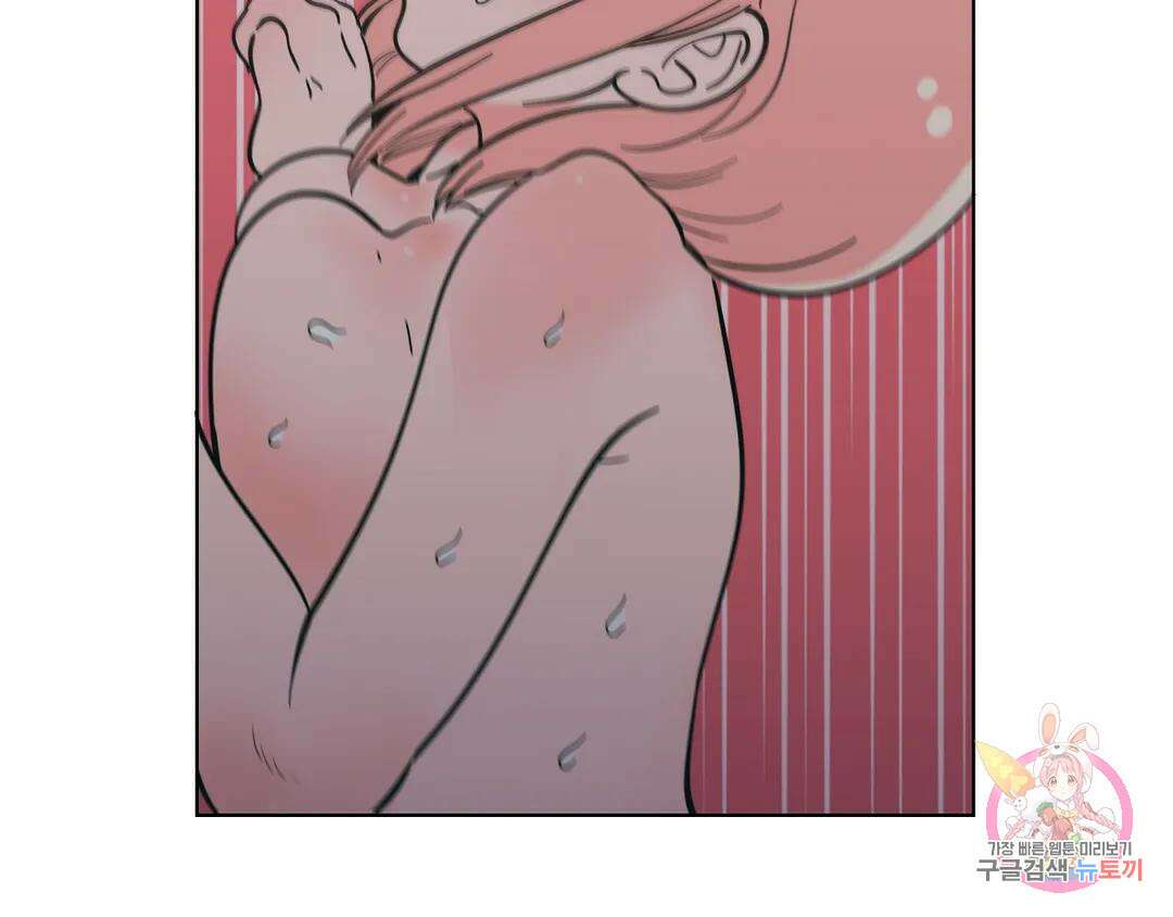 피치 소르베 66화 15