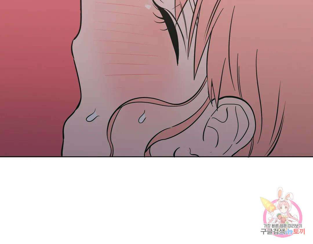 피치 소르베 66화 17