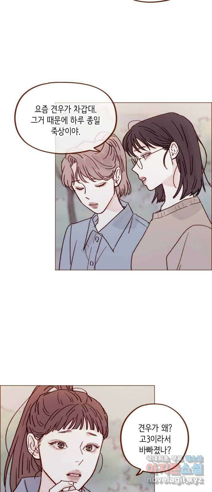 홍시는 날 좋아해! 237화 : 그냥 예뻐요 17