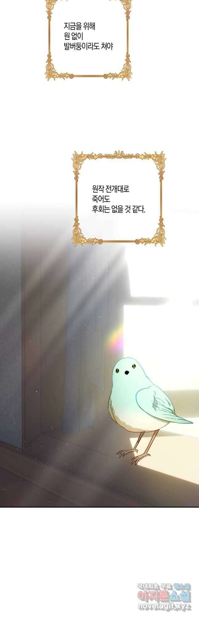 흑막 남편과의 이혼에 실패한 것 같다 48화 8