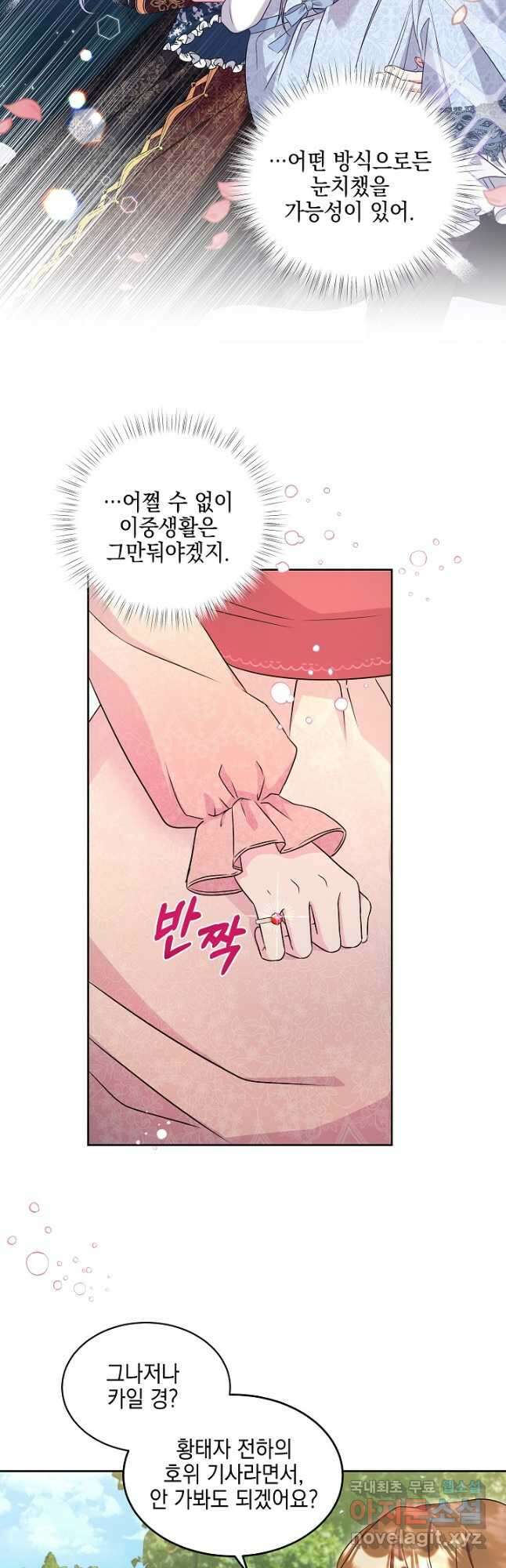 태양을 삼킨꽃 28화 10