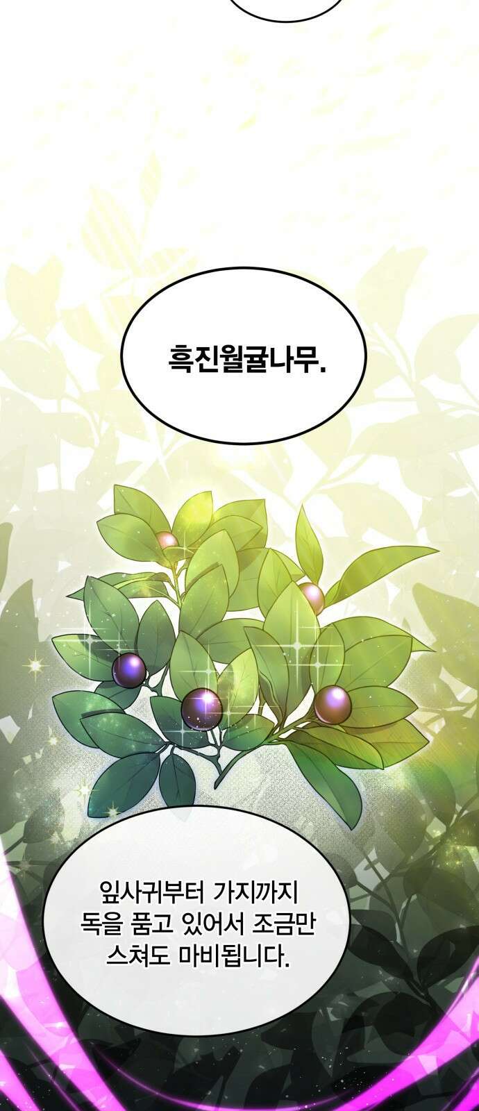 야매 힐러로 사는 법 1화 73
