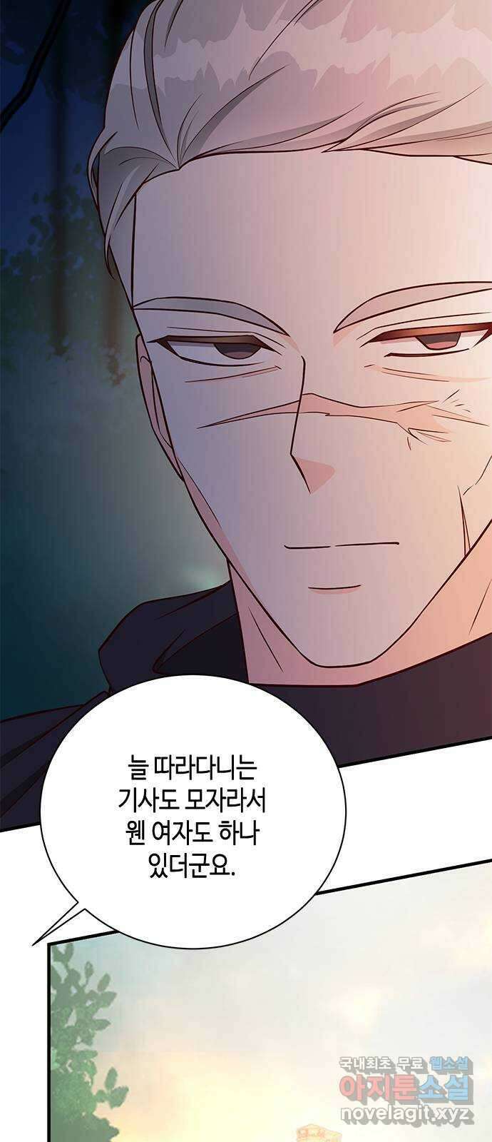 어느 백작 영애의 이중생활 39화 17