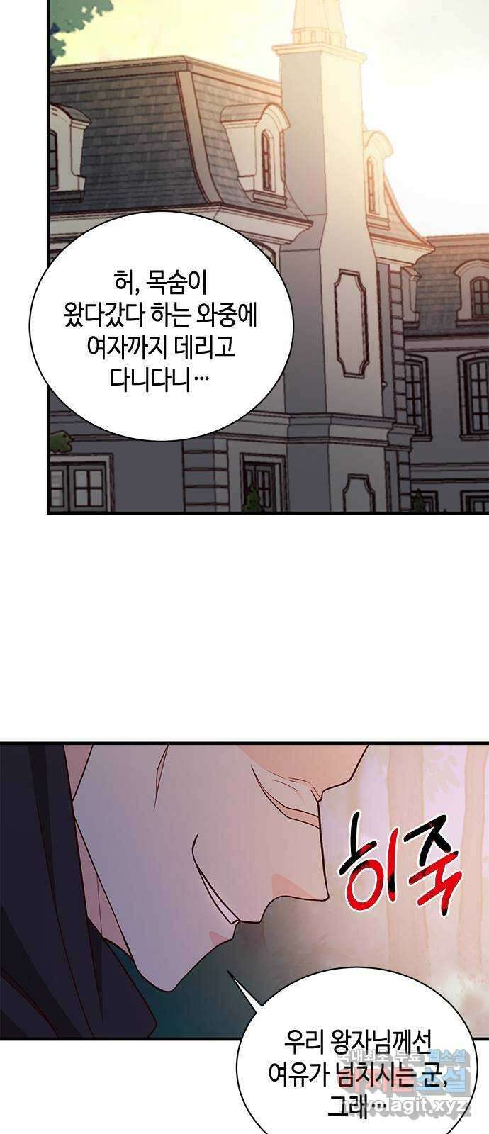 어느 백작 영애의 이중생활 39화 18