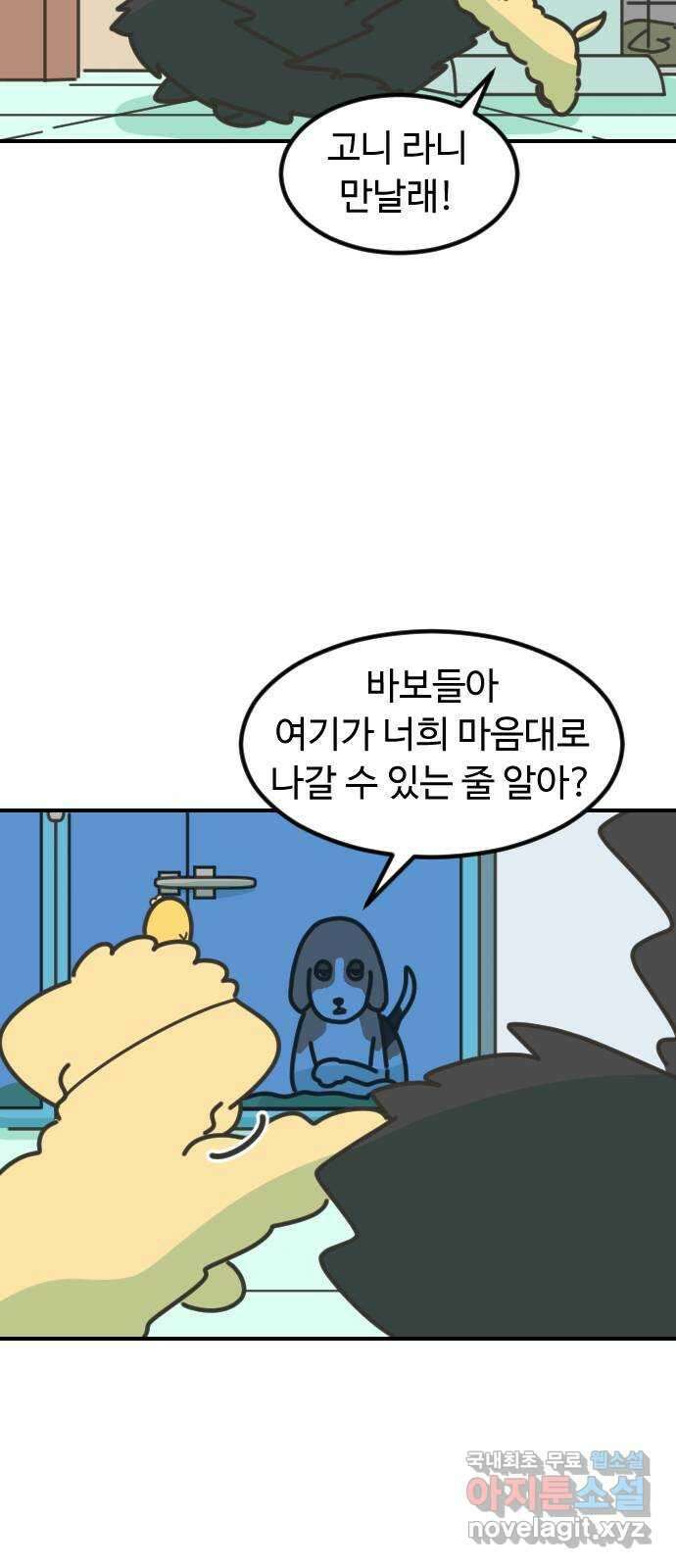 애구애구 23화 12