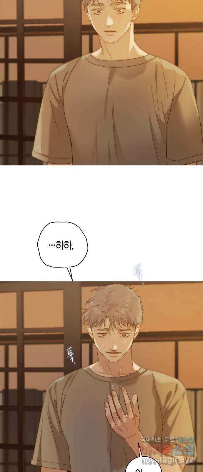손 안의 안단테 37화: 아 프리마 비스타 (2) 14