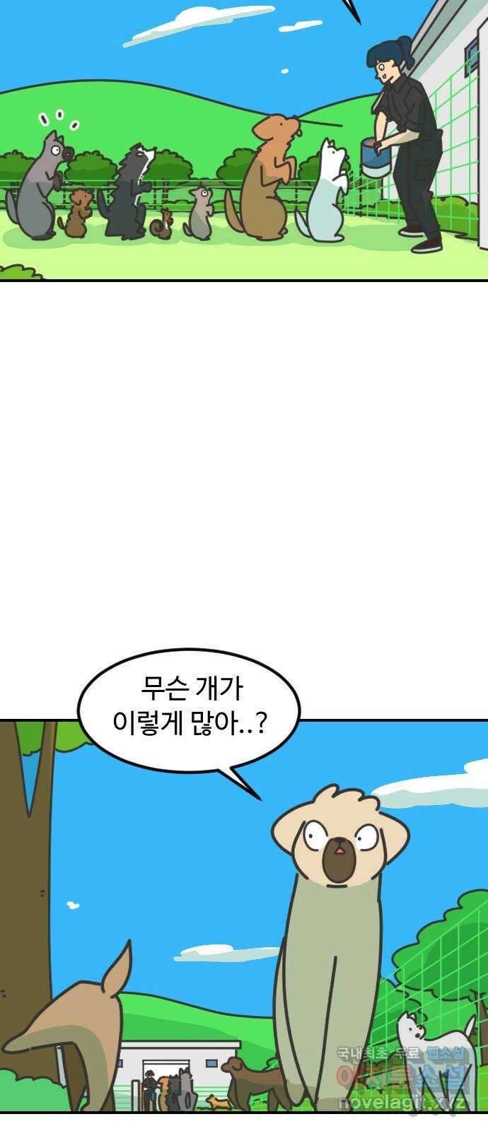애구애구 26화 10