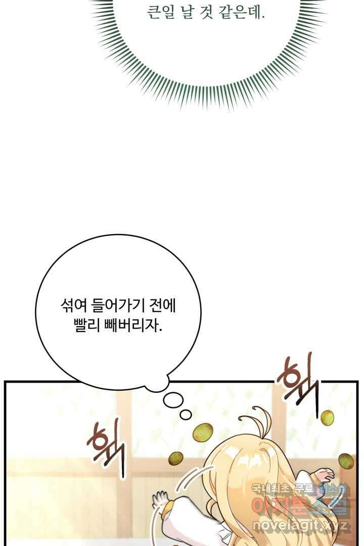 아기 약사 황녀님 11화 12