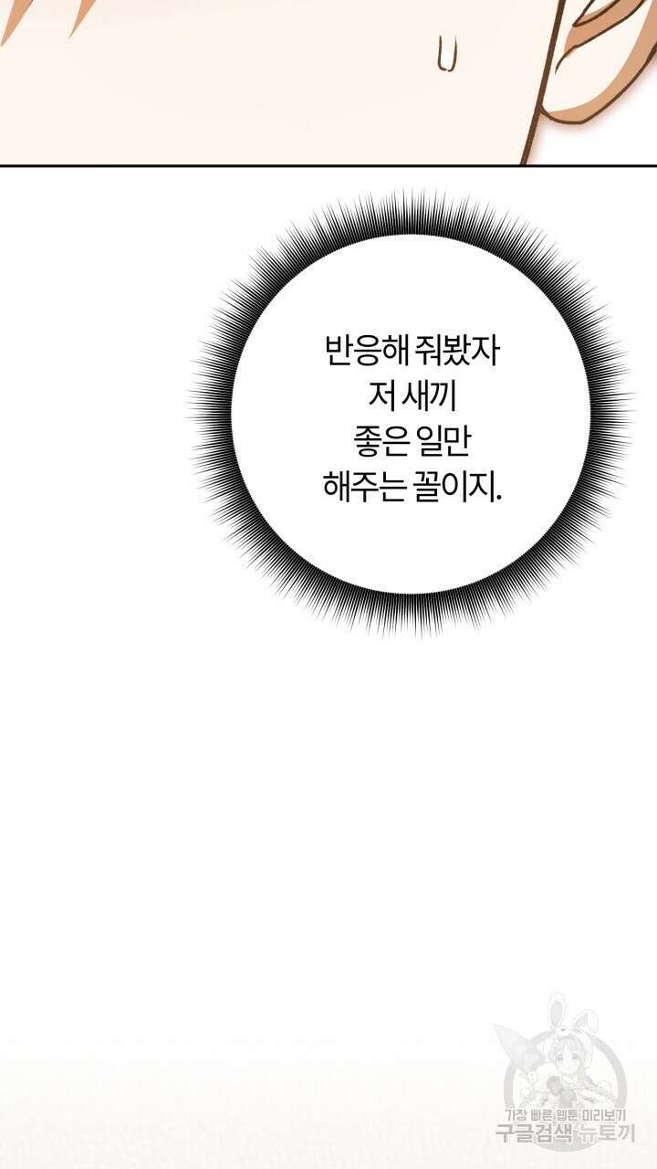넷카마 펀치!!! 41화 13