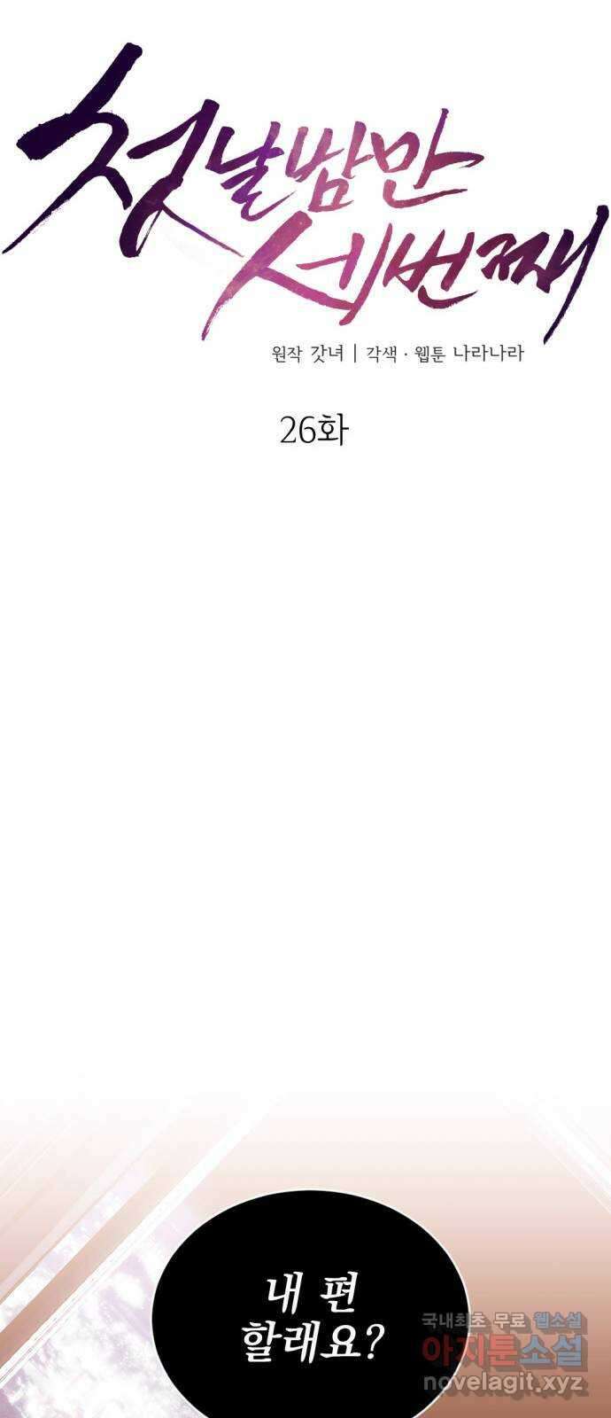 첫날밤만 세 번째 26화 9