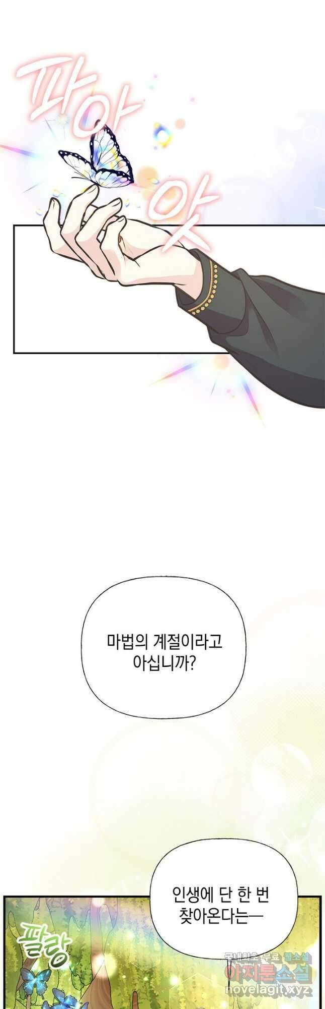 언니가 남자 주인공을 주워 왔다 71화 10