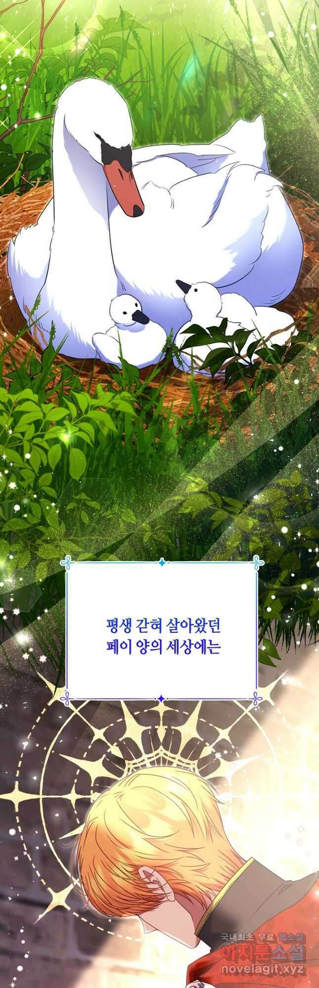 애완 시녀 31화 6