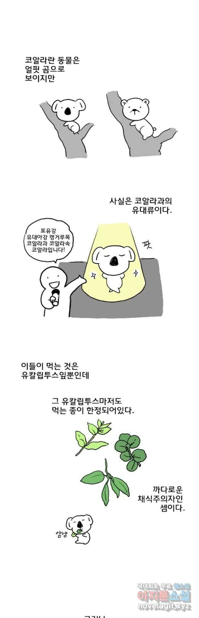 코알랄라 16화 비빔밥 2