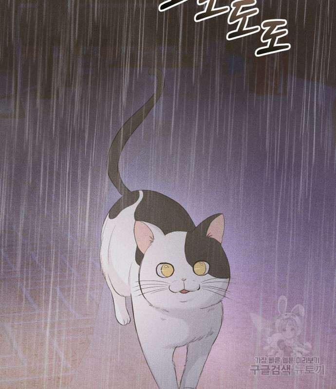 완벽한 결혼의 정석 106화 43